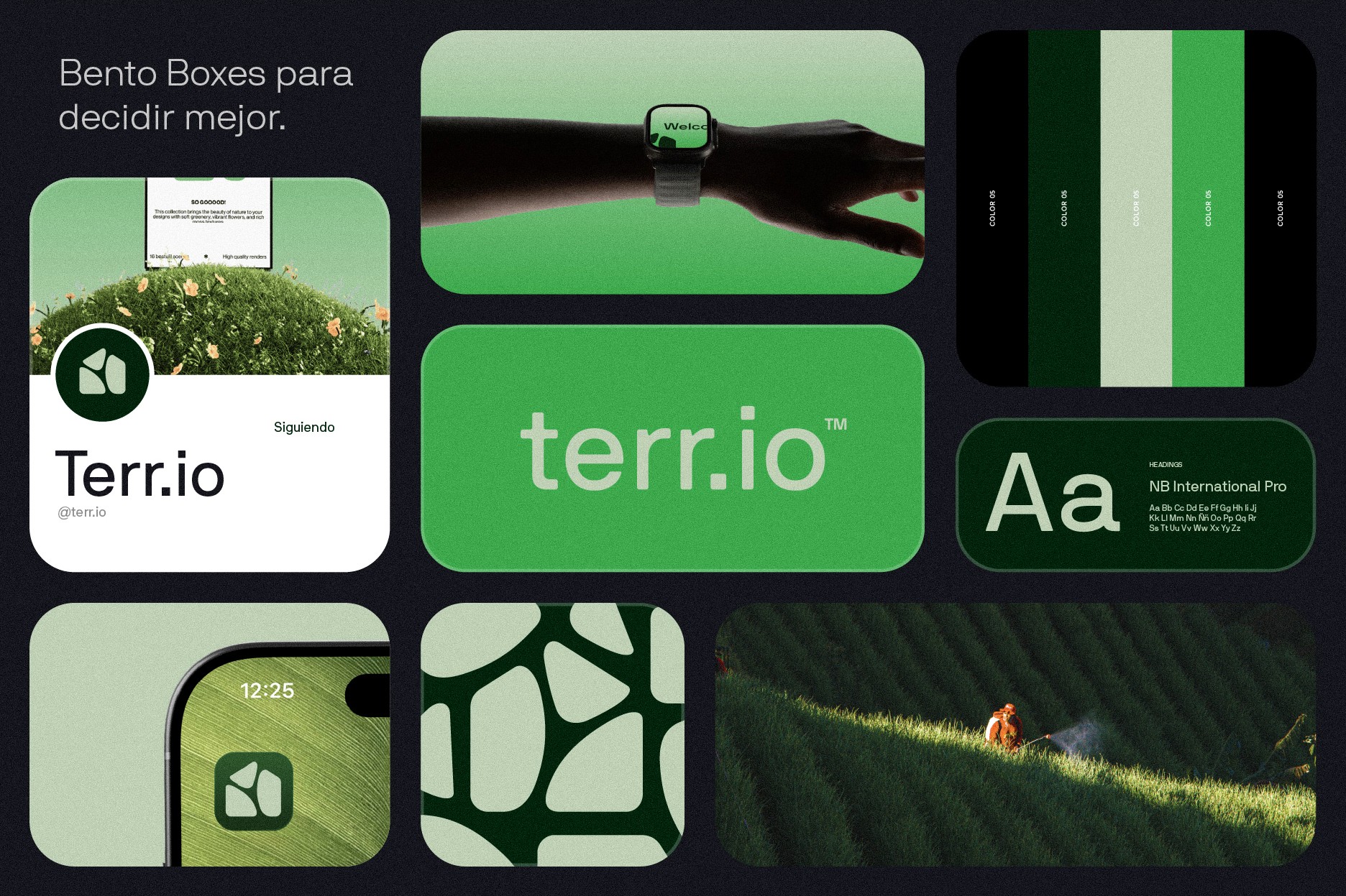 Diseño de Identidad Gráfica